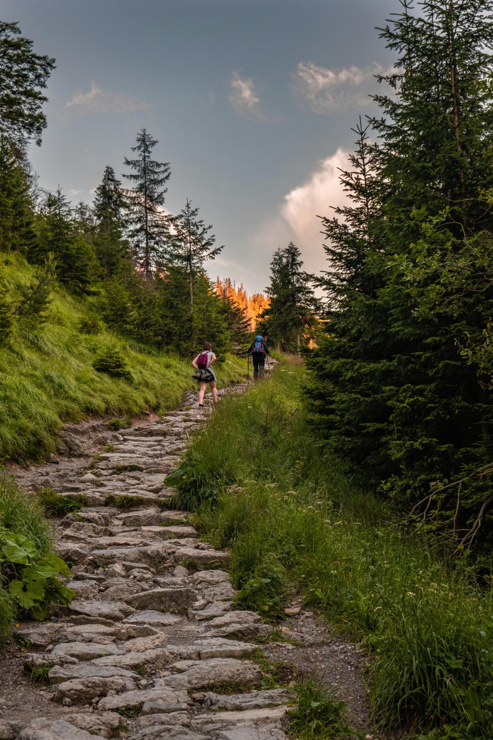 pexels-karol-zielinski-92378908-9160147
